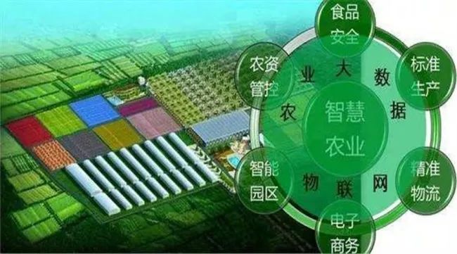 全程追溯,用數(shù)據(jù)把好農(nóng)產(chǎn)品“生產(chǎn)關”